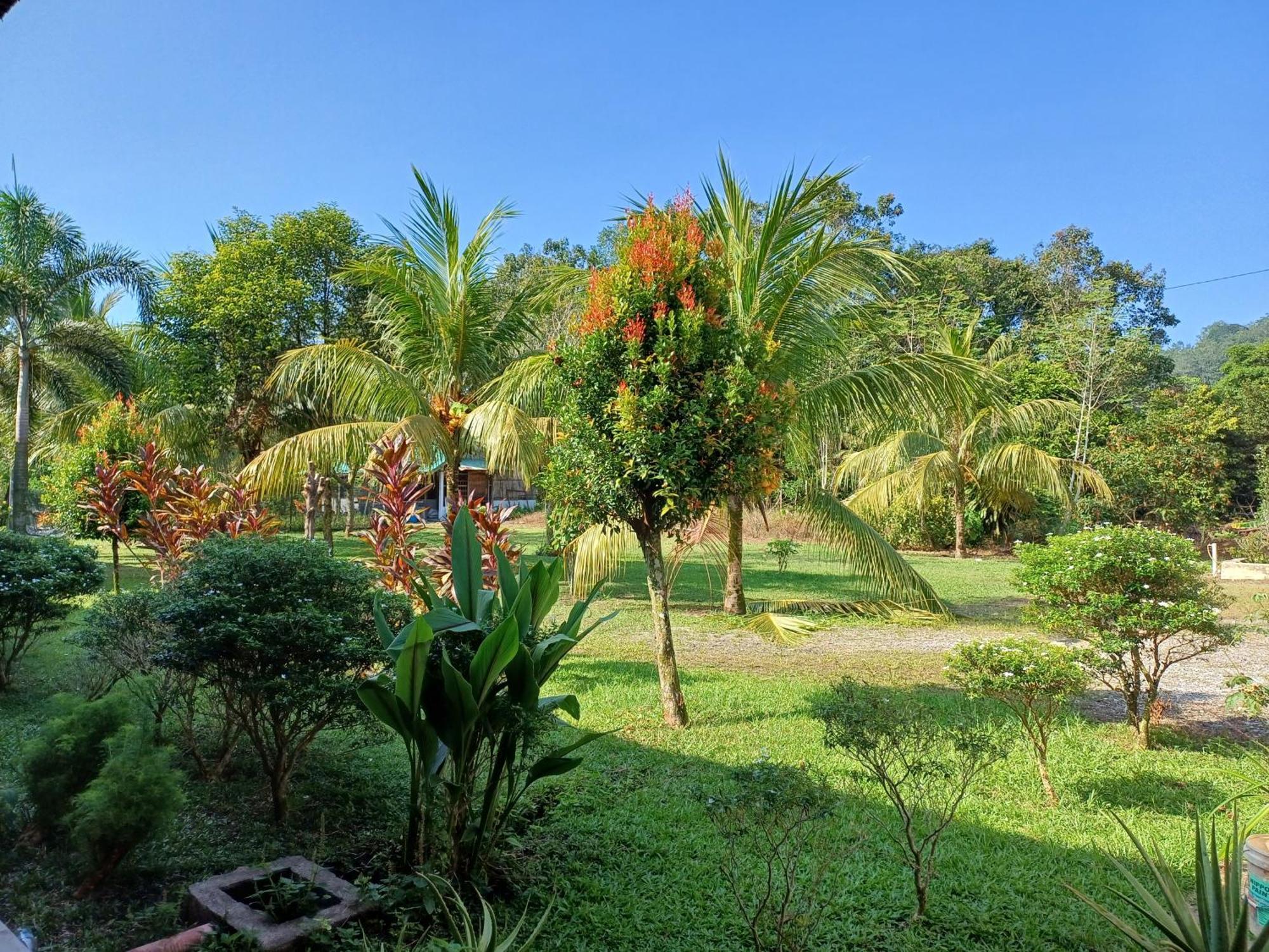 Lemuni Retreat & Training Centre - Kerling, Selangor 호텔 외부 사진